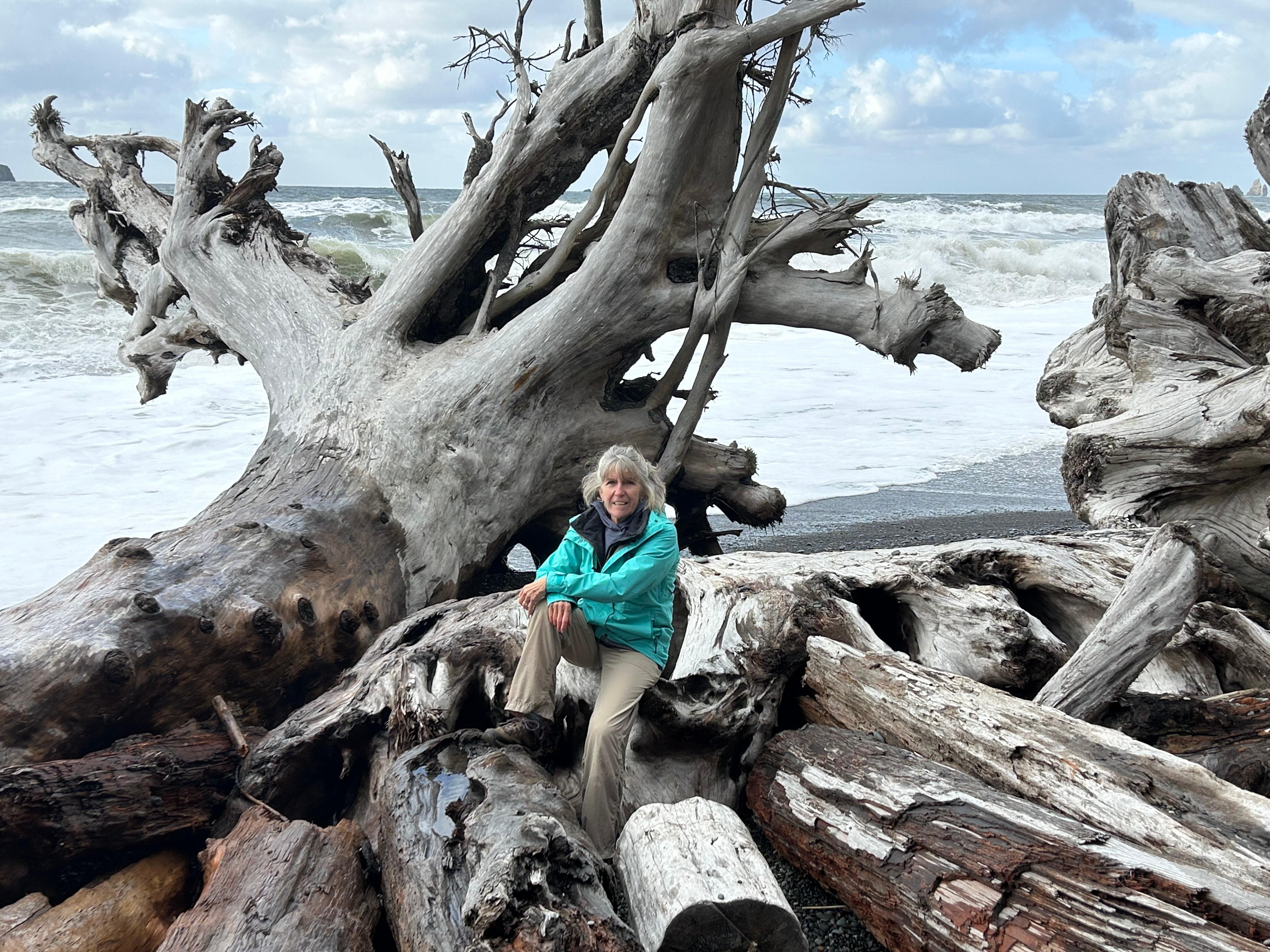 Beachcombing for driftwood