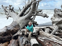Beachcombing for driftwood