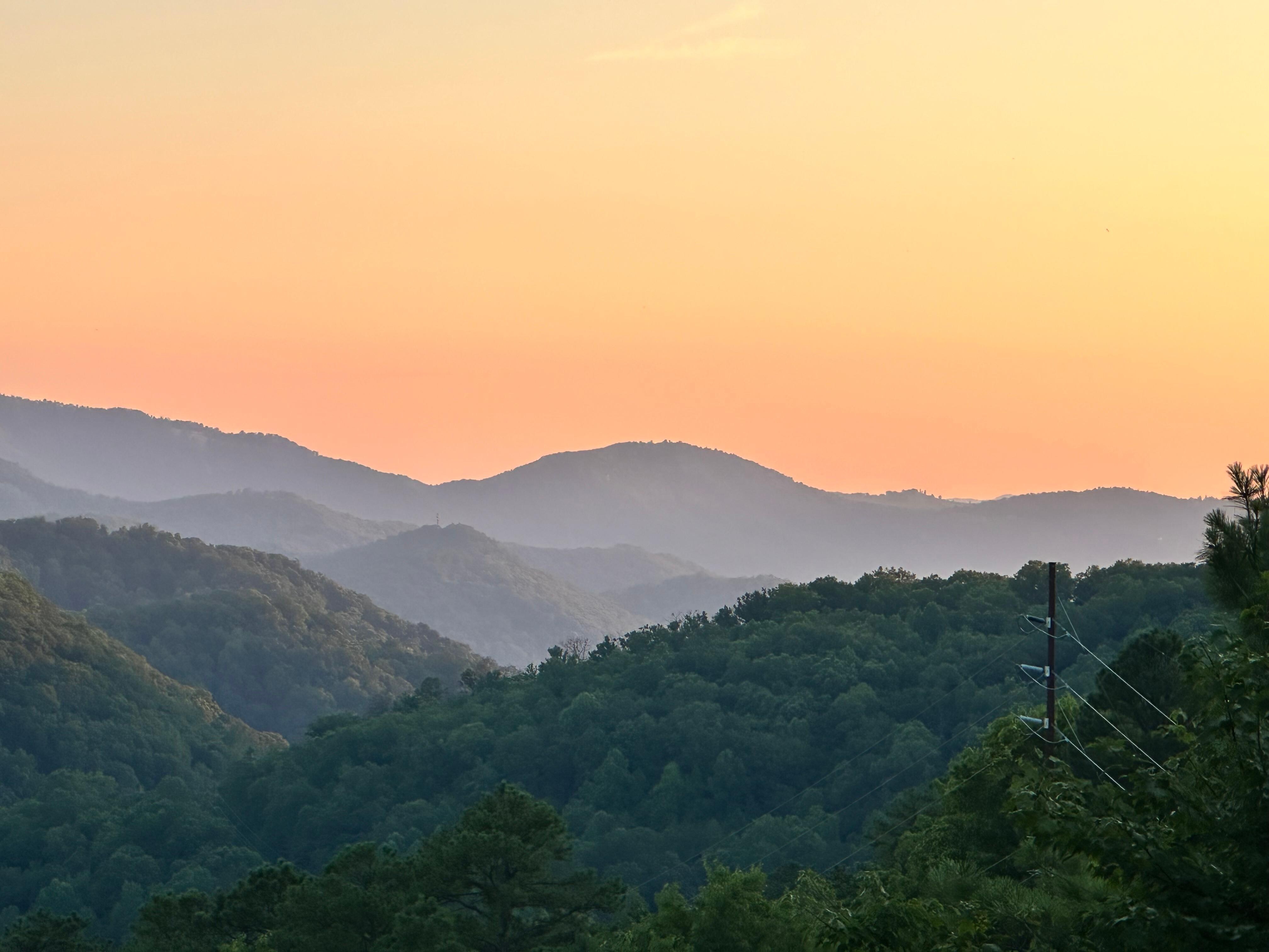 From the deck evening