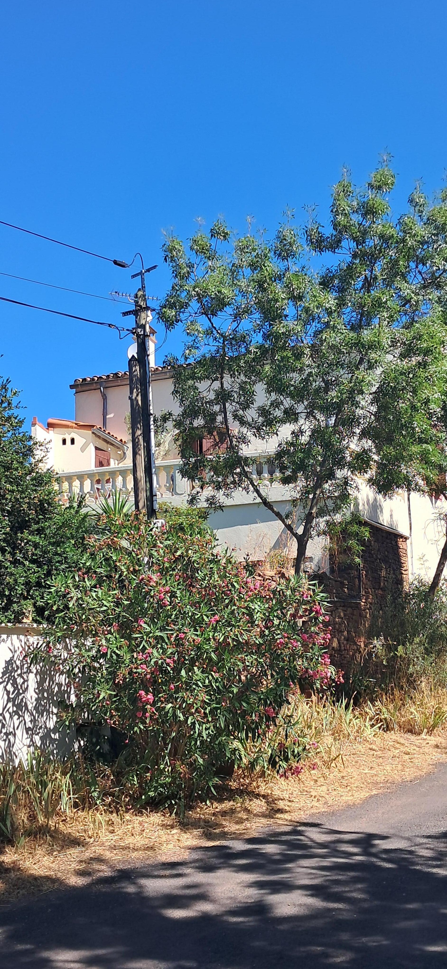 Das Ferienhaus leicht versteckt