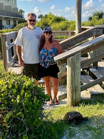 We saw a rare tortoise on our way to the beach