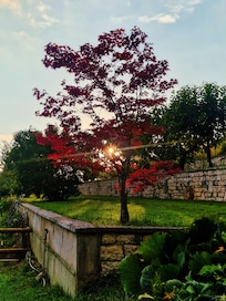Wunderschöner Garten