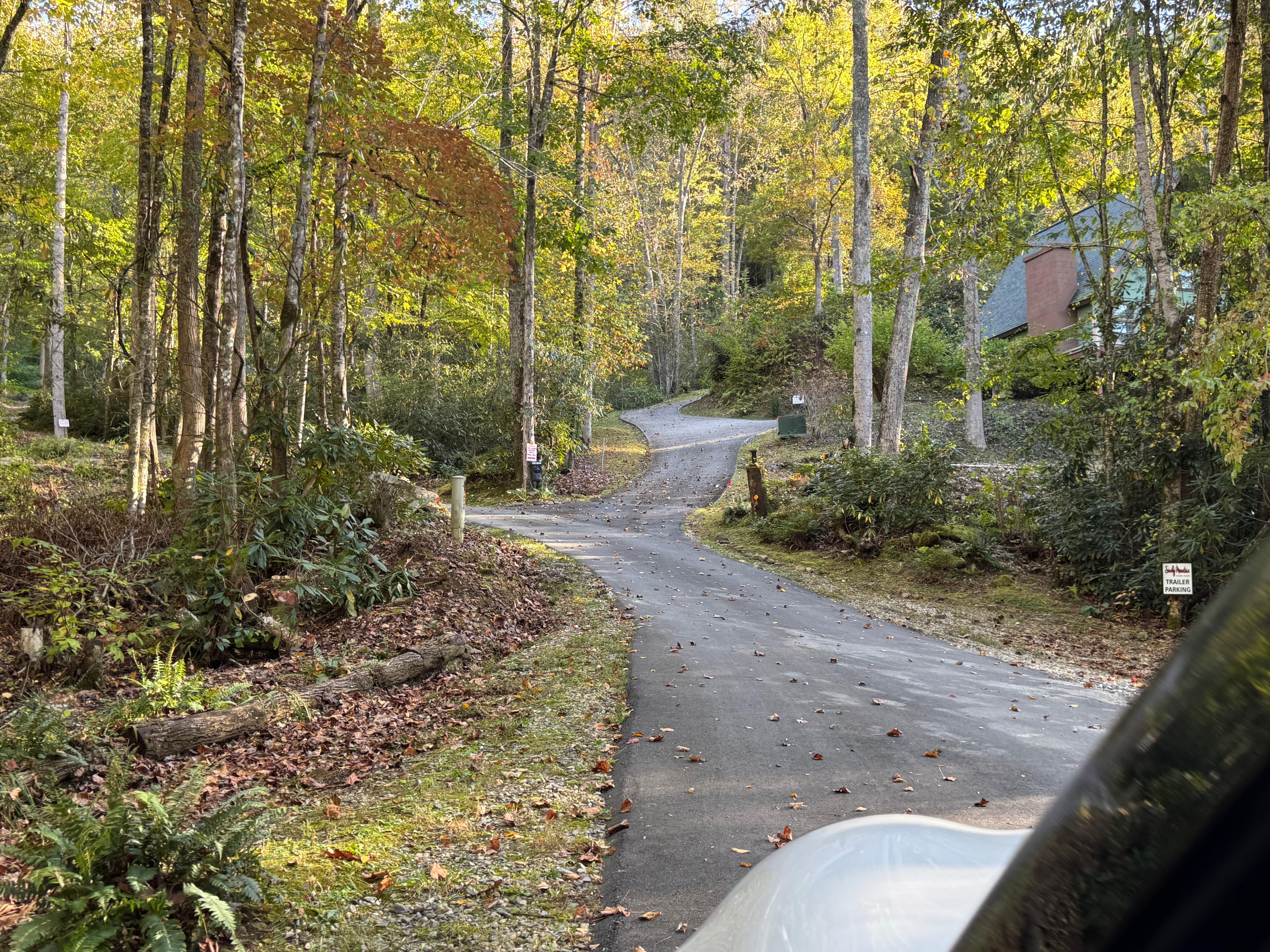 Driveway up to cabin. Steeper than it looks. 