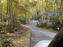 Driveway up to cabin. Steeper than it looks.