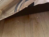 Disgusting mess hiding under the bed skirt