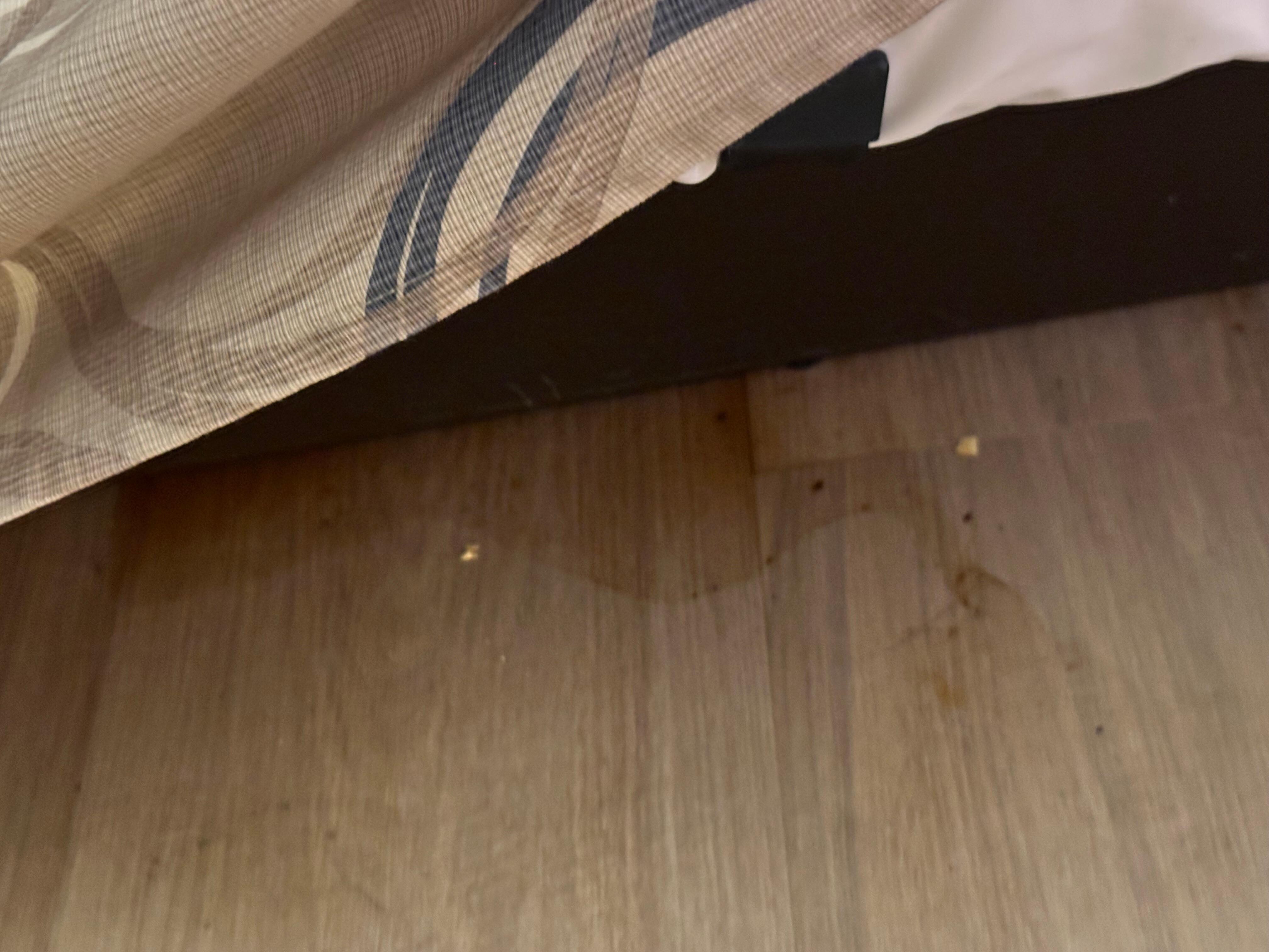 Disgusting mess hiding under the bed skirt 