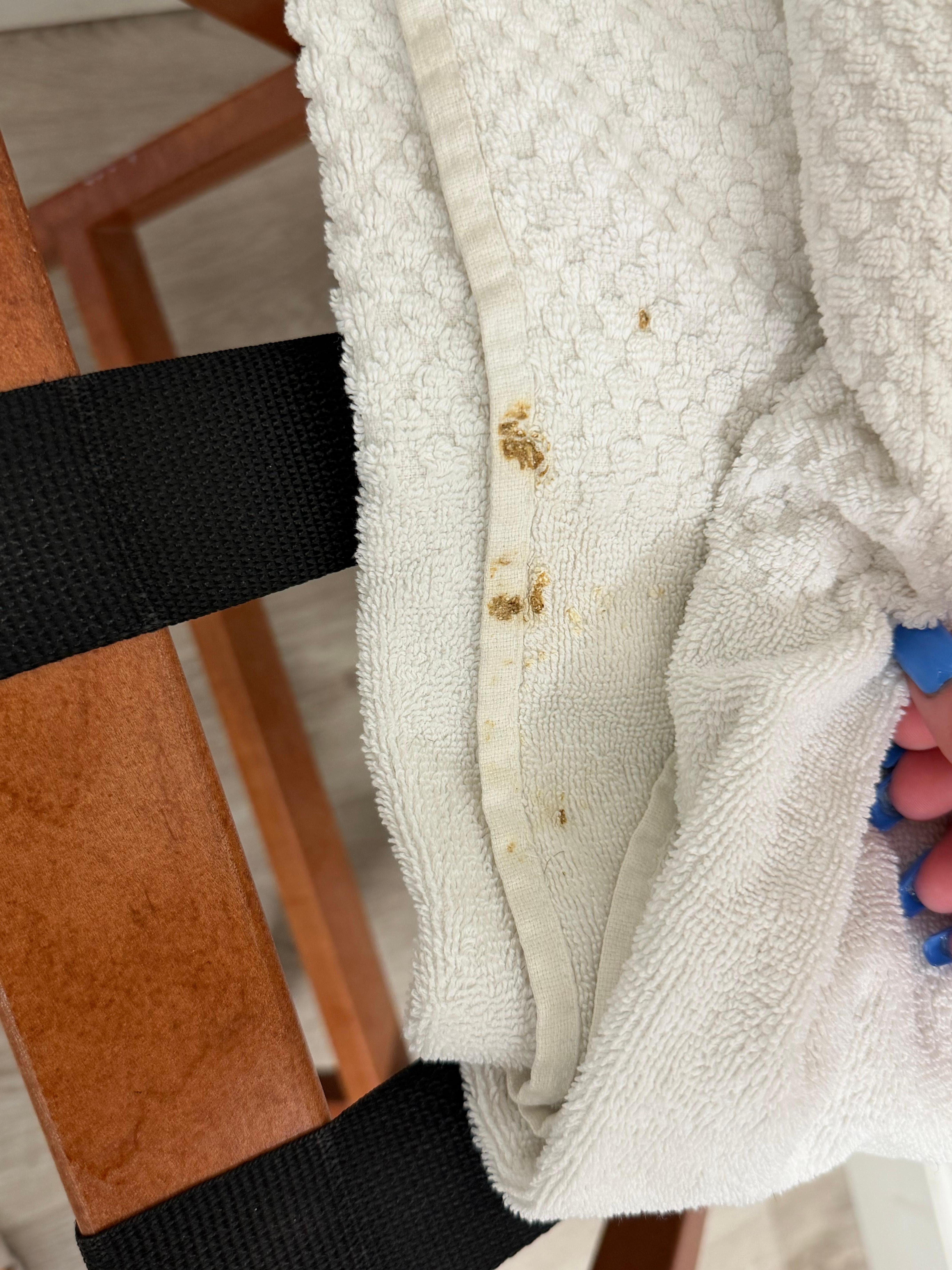 There was what looked to be human waste on one of the FOLDED “clean” towels.