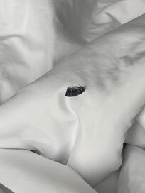 Eyelash strip under beddin