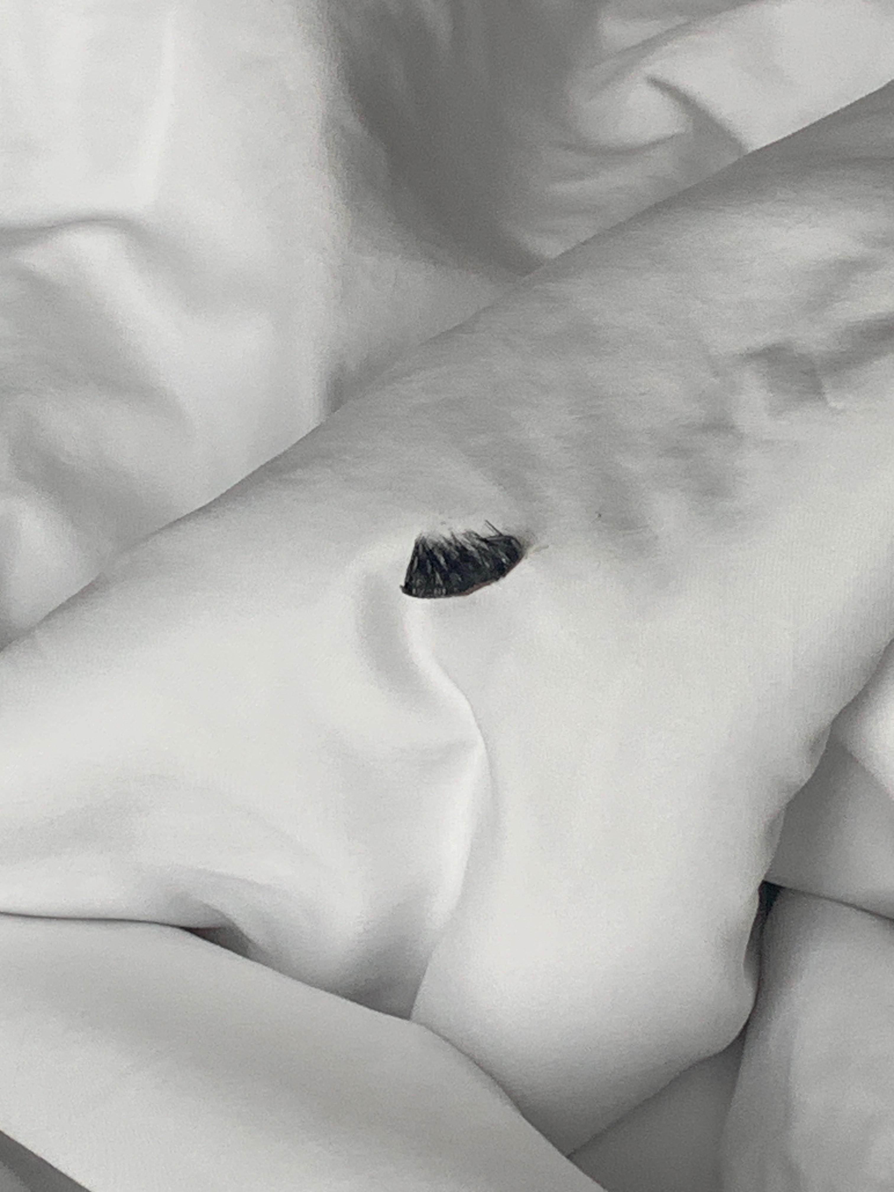 Eyelash strip under beddin