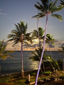Study view from balcony