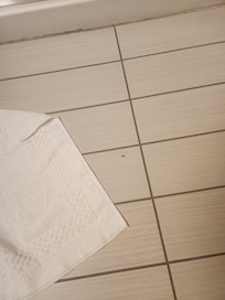 Bugs in the bathroom