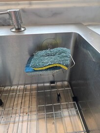 Disgusting dirty sponges