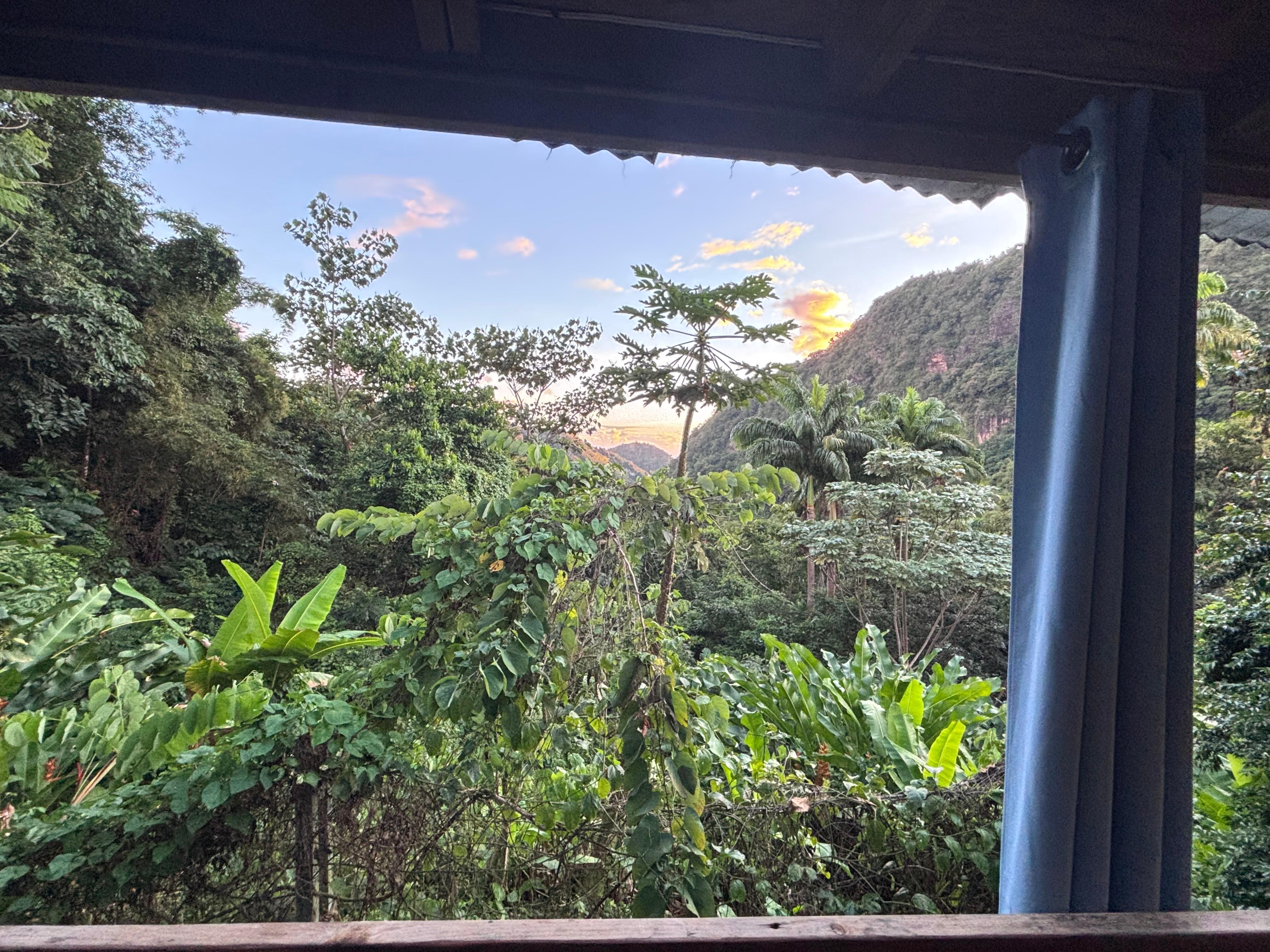 View from kitchen and living room. 