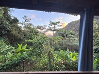 View from kitchen and living room.