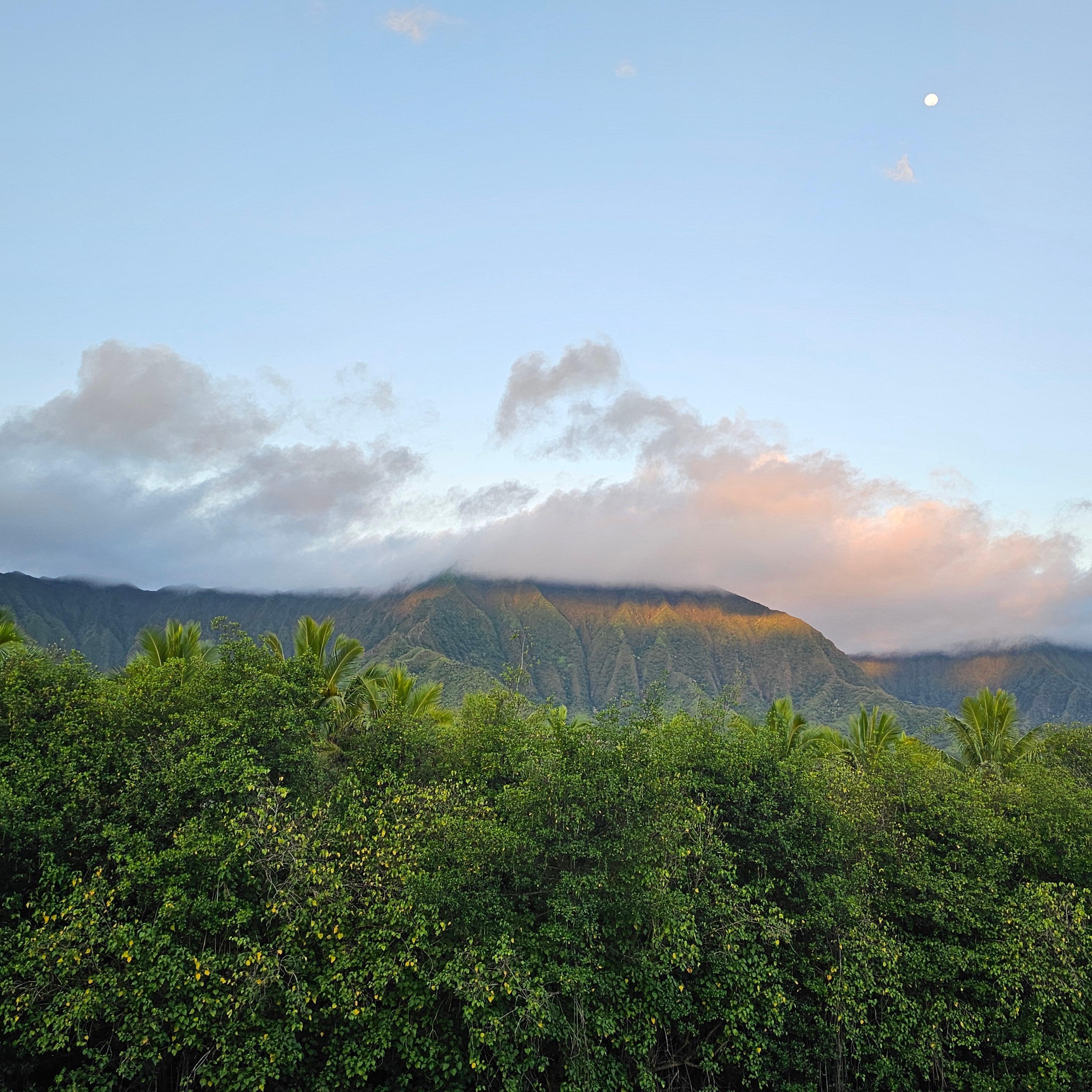 Awe, the view from the lobby!