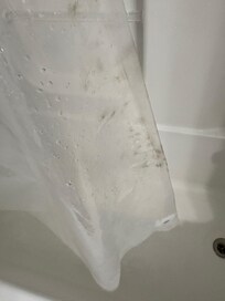 More shower curtain. Small bathroom.