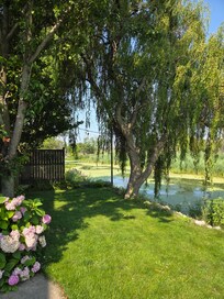 View from back patio.