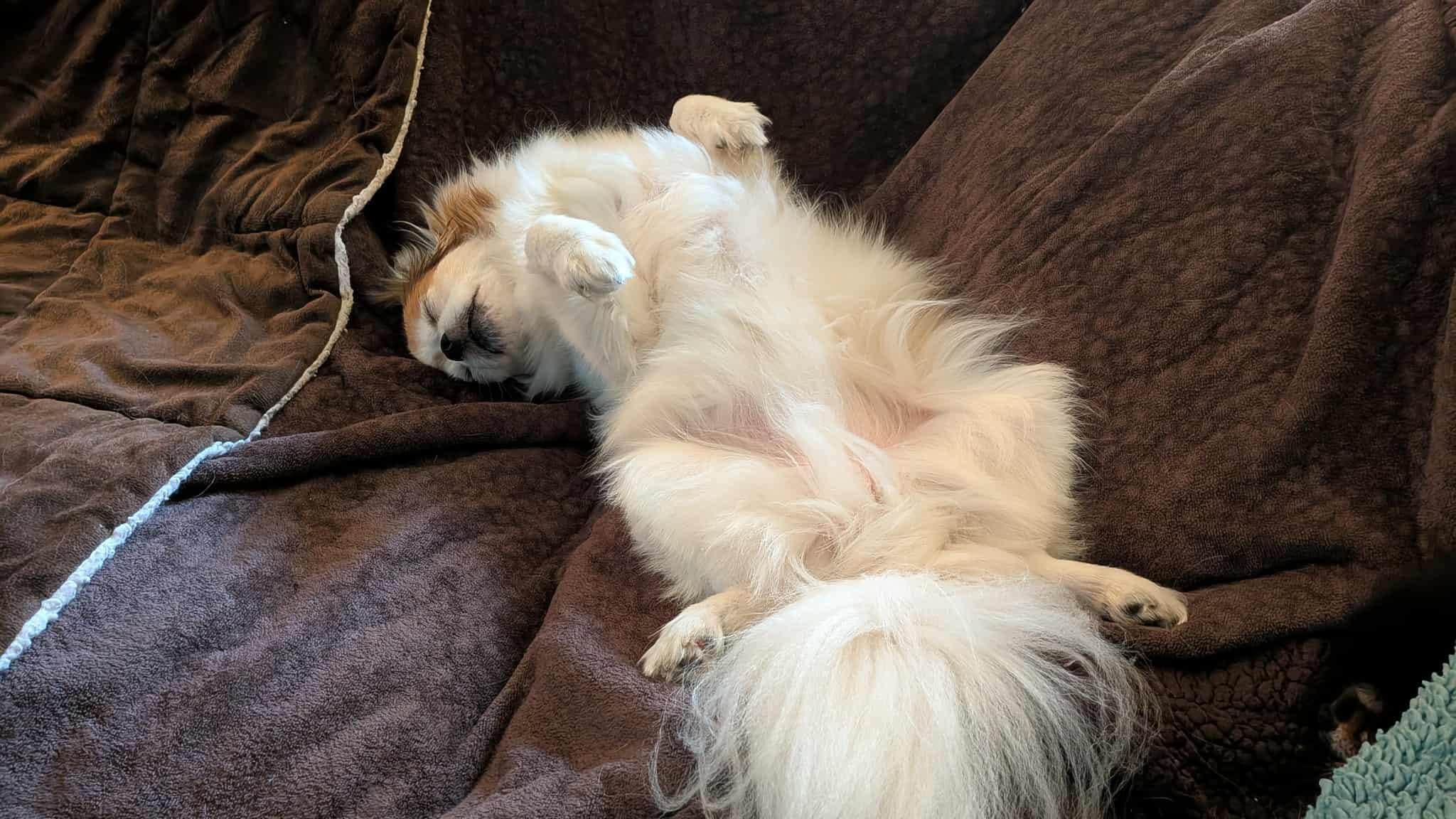 totally not relaxed  LOL ;)