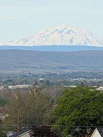 loved our view of Mt Rainier.