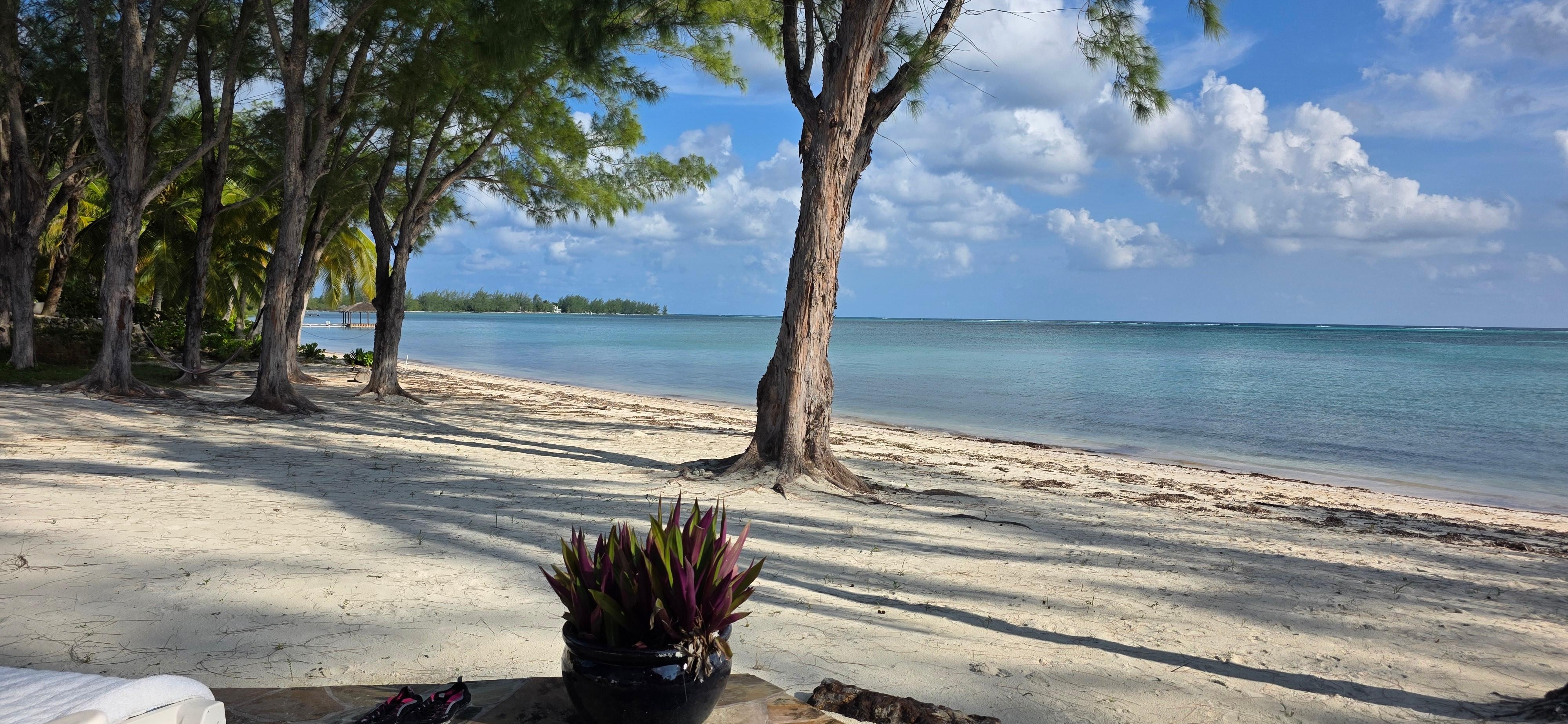 Beach in front of the house