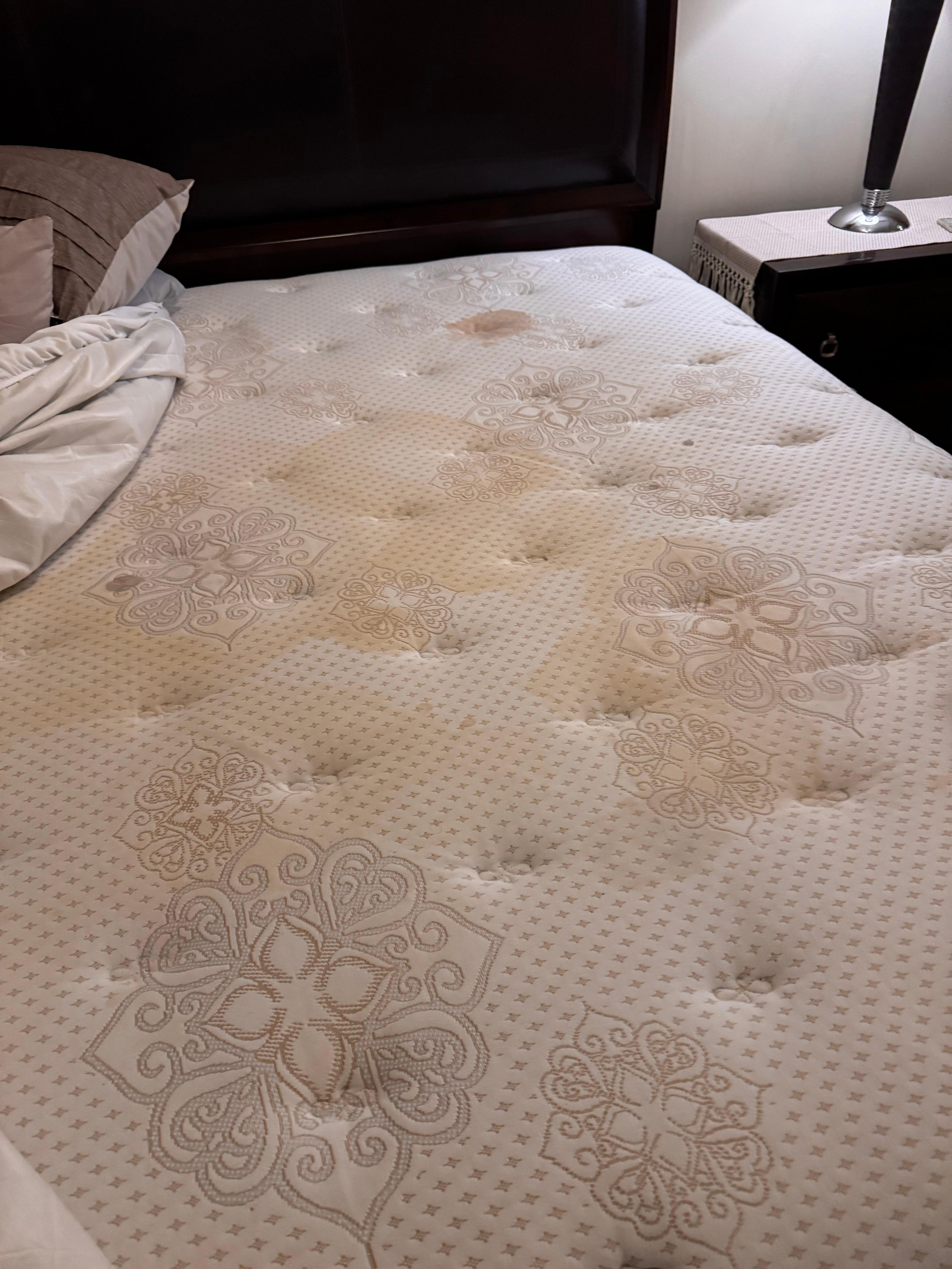 Nasty & Stained Master Bed Mattress