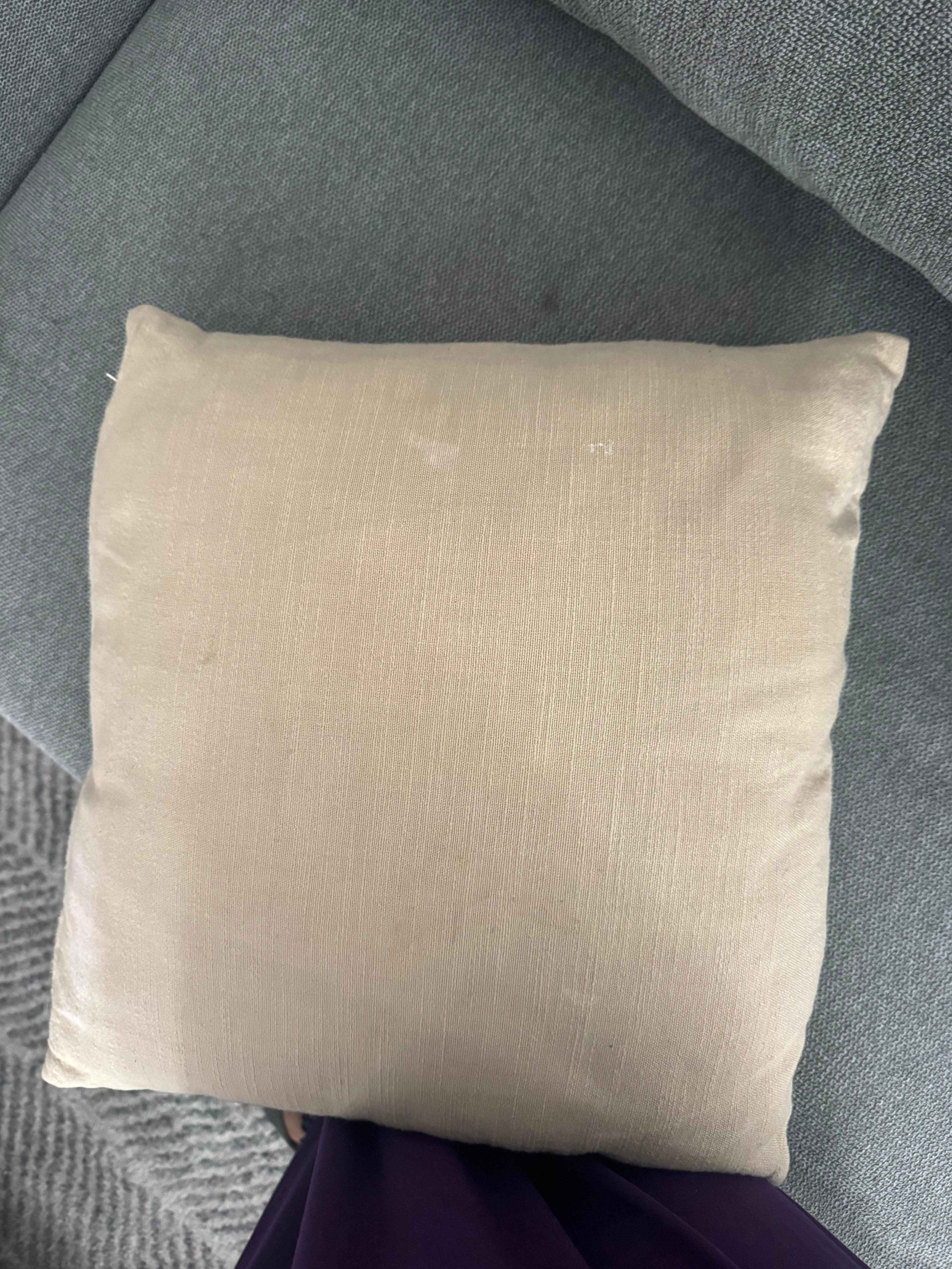 Dirty throw pillow 