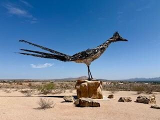 Nearby Roadrunner Statue