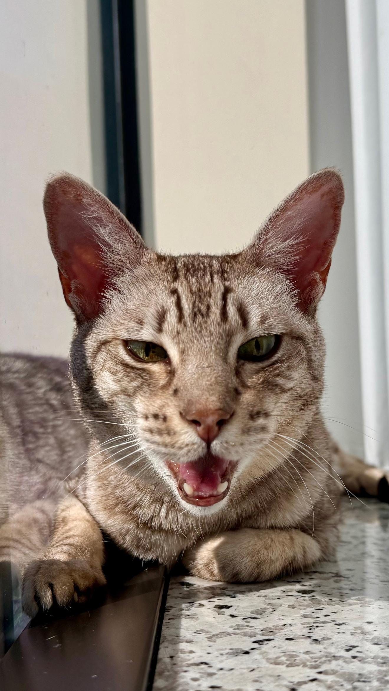 Felt like home ❤️