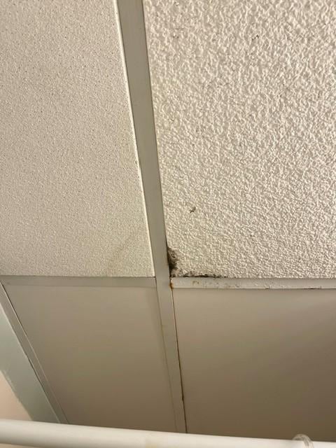 Moldy bathroom ceiling