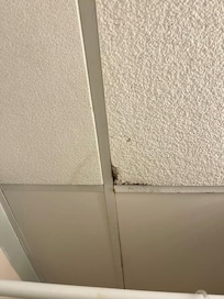 Moldy bathroom ceiling