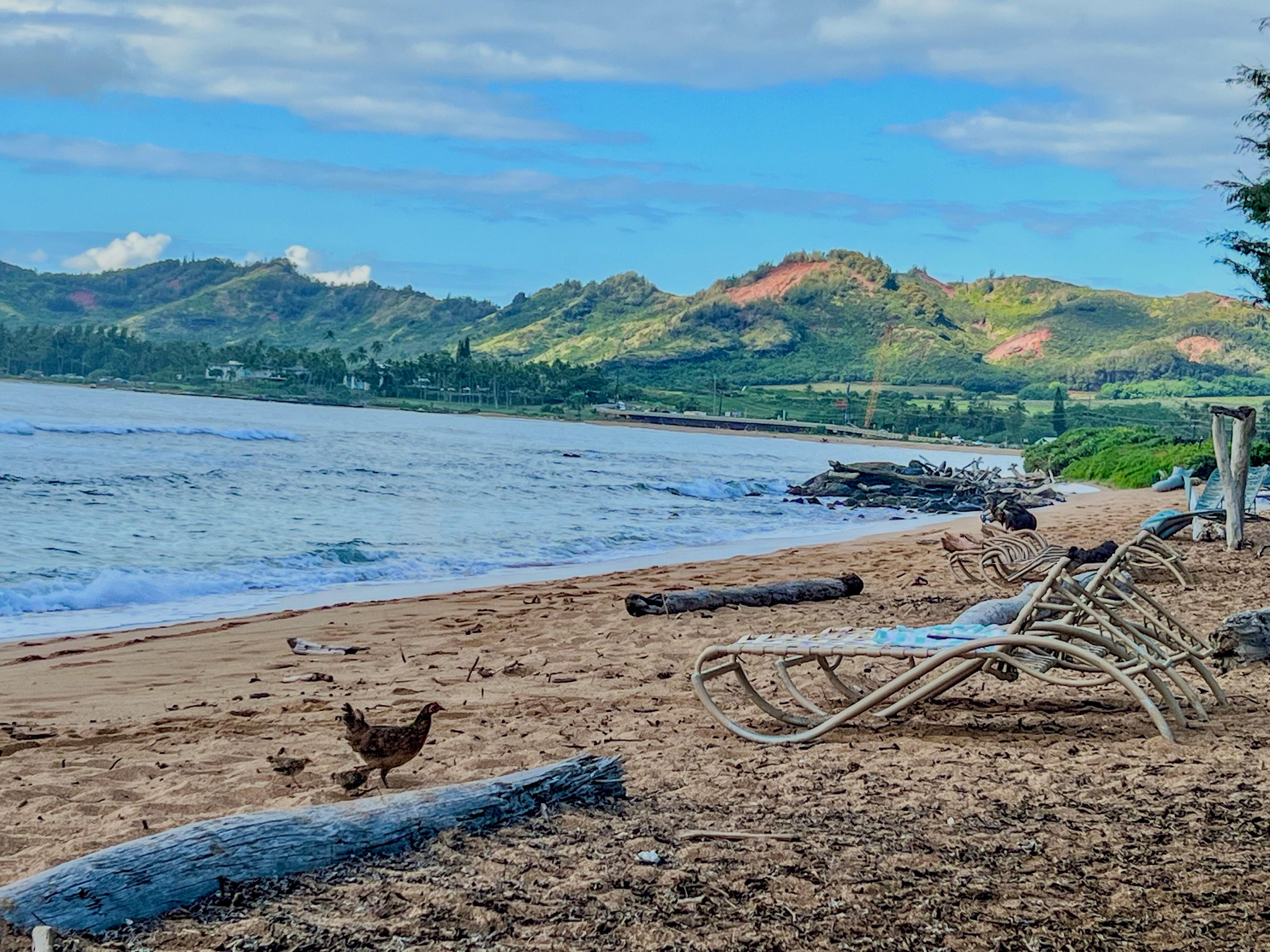 Looking down the beach from right in front of the condo in the evening 