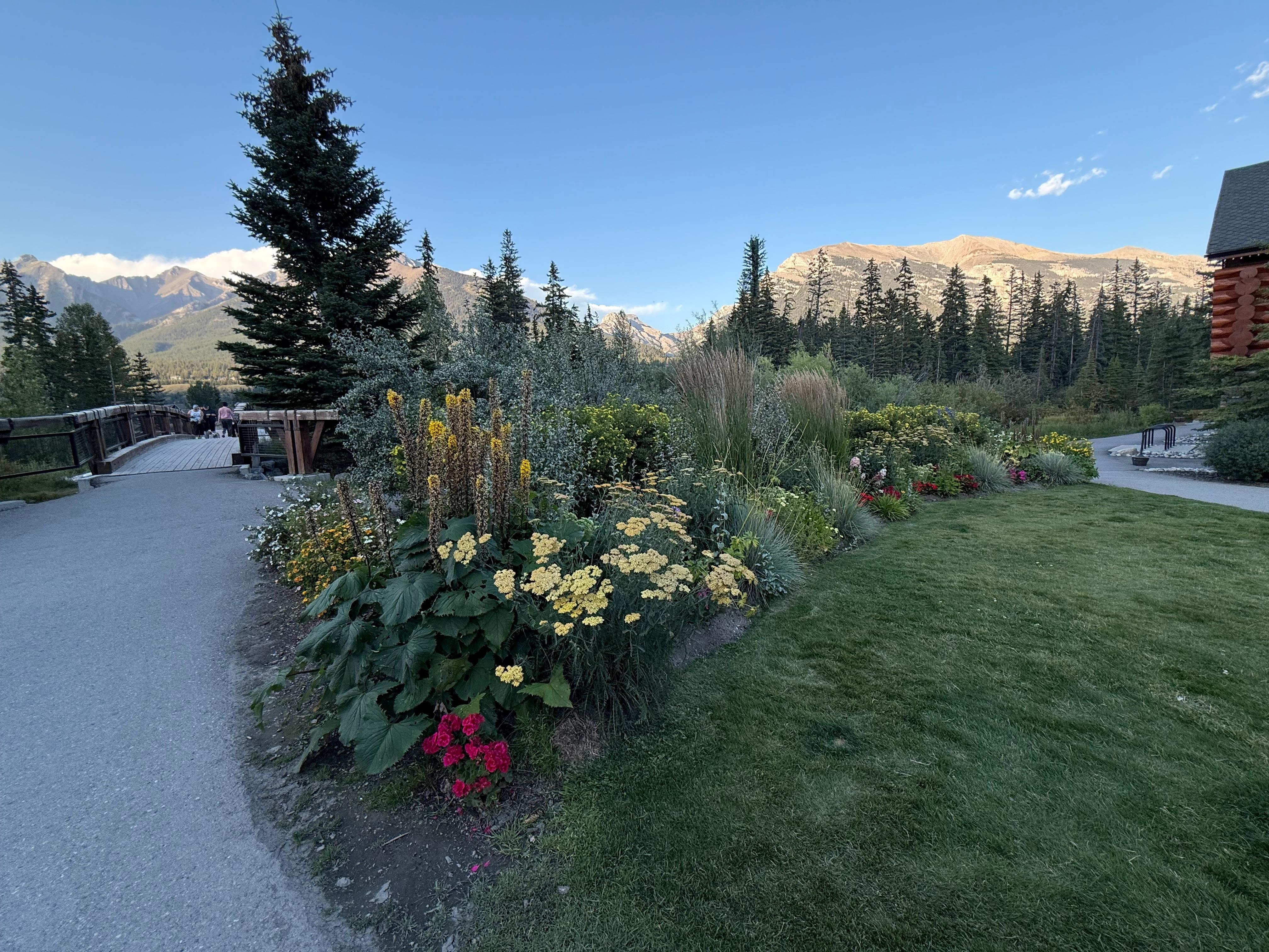 Beautiful path that leads to town.