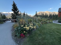 Beautiful path that leads to town.