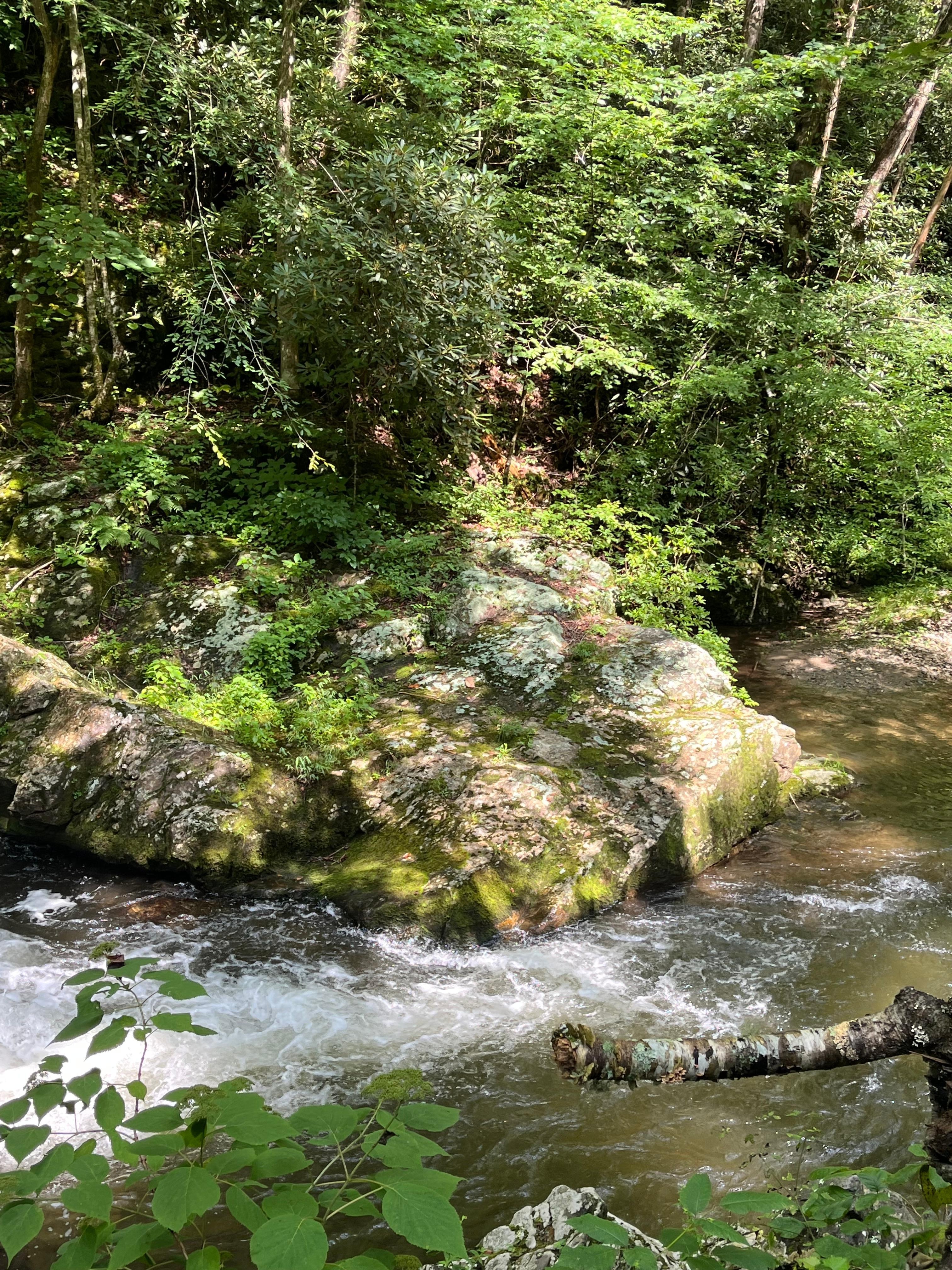 Smokey Mountains National Park 