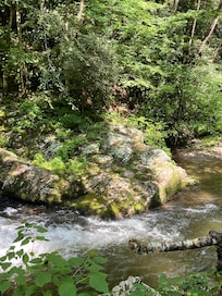 Smokey Mountains National Park