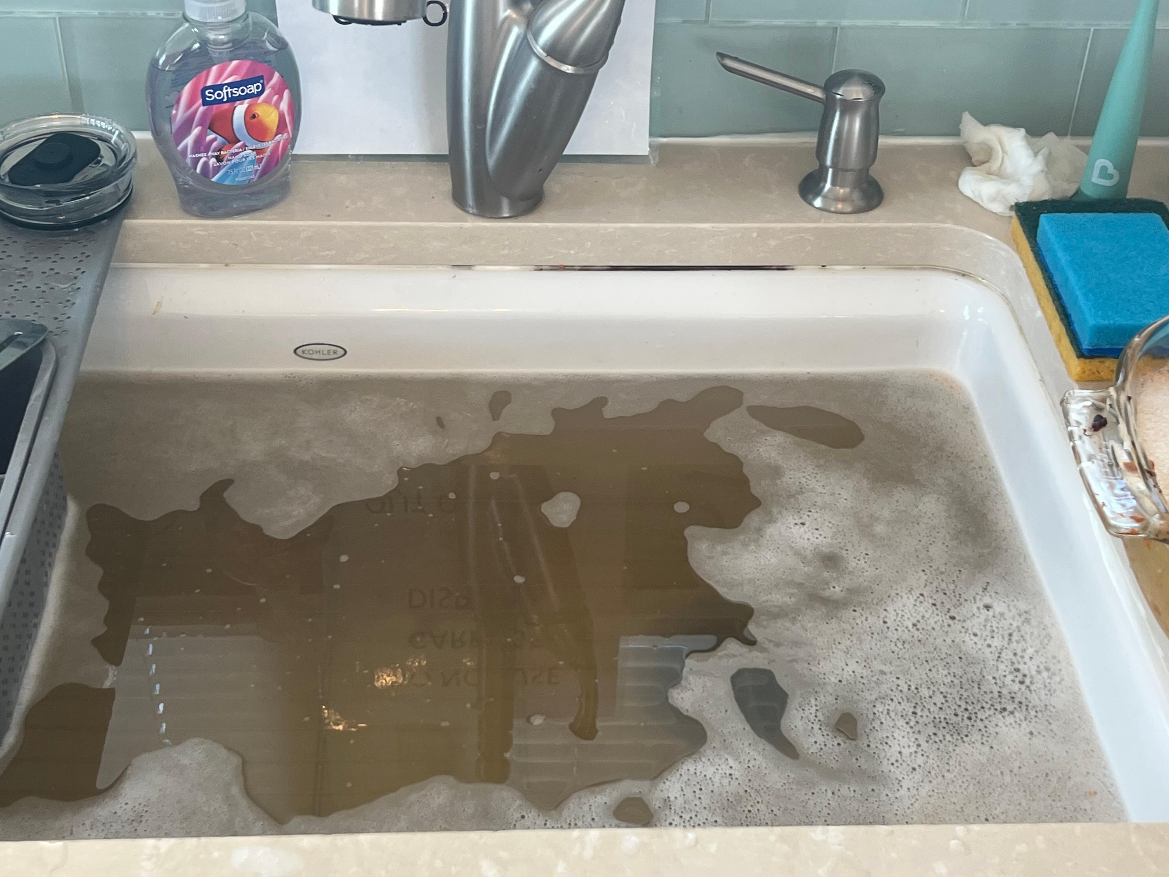 Backed up sink due to an inoperable disposal.