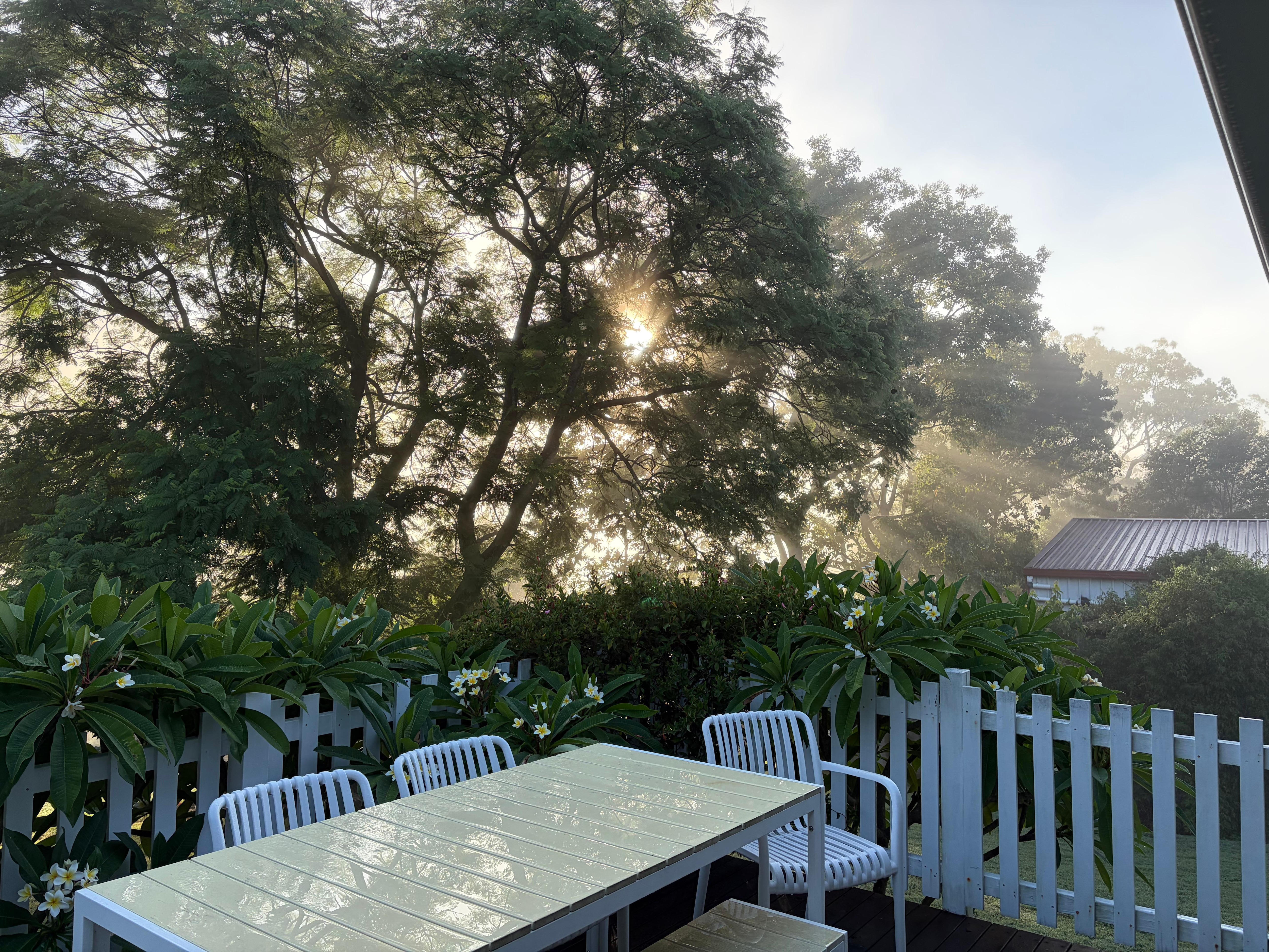 Sunrise from the back deck.