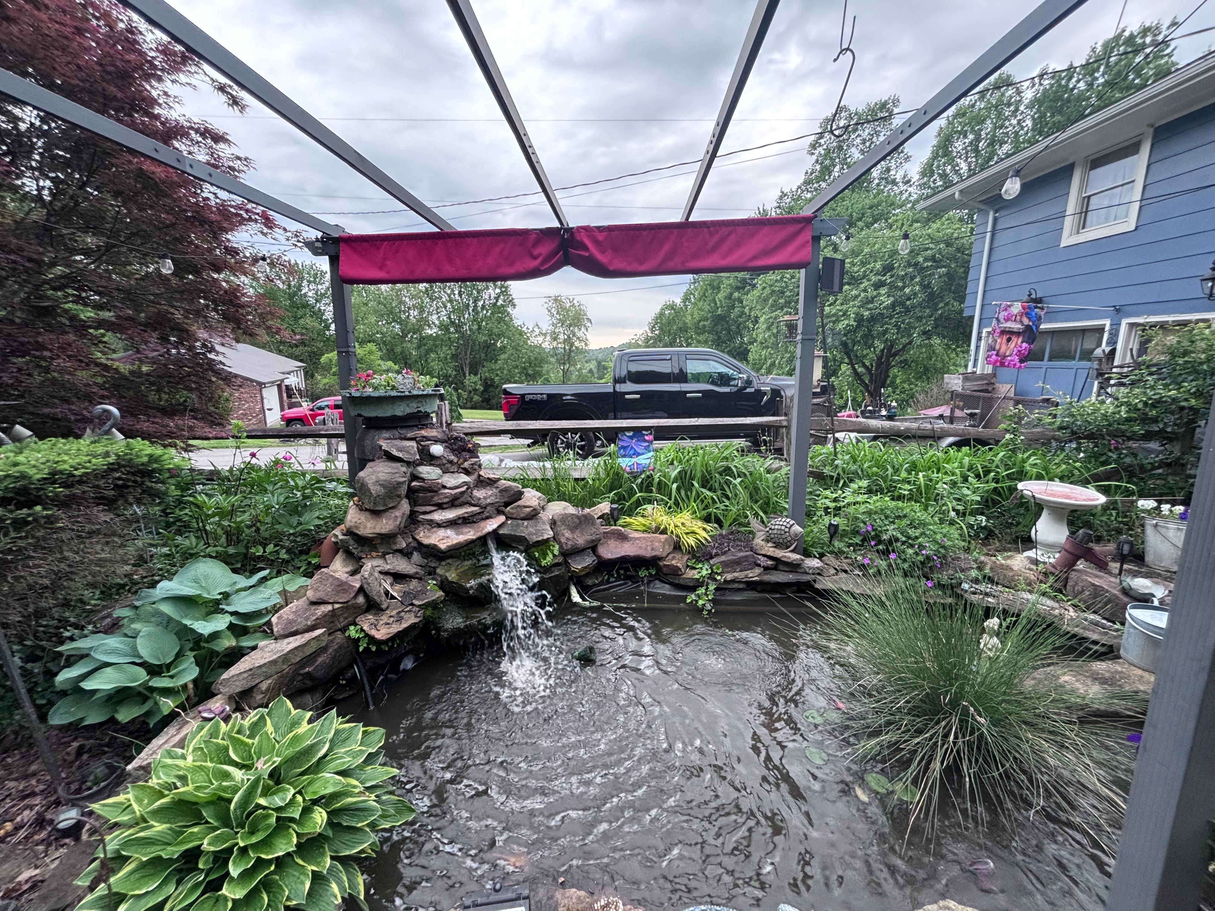 Koi pond 