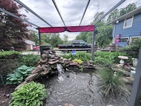 Koi pond