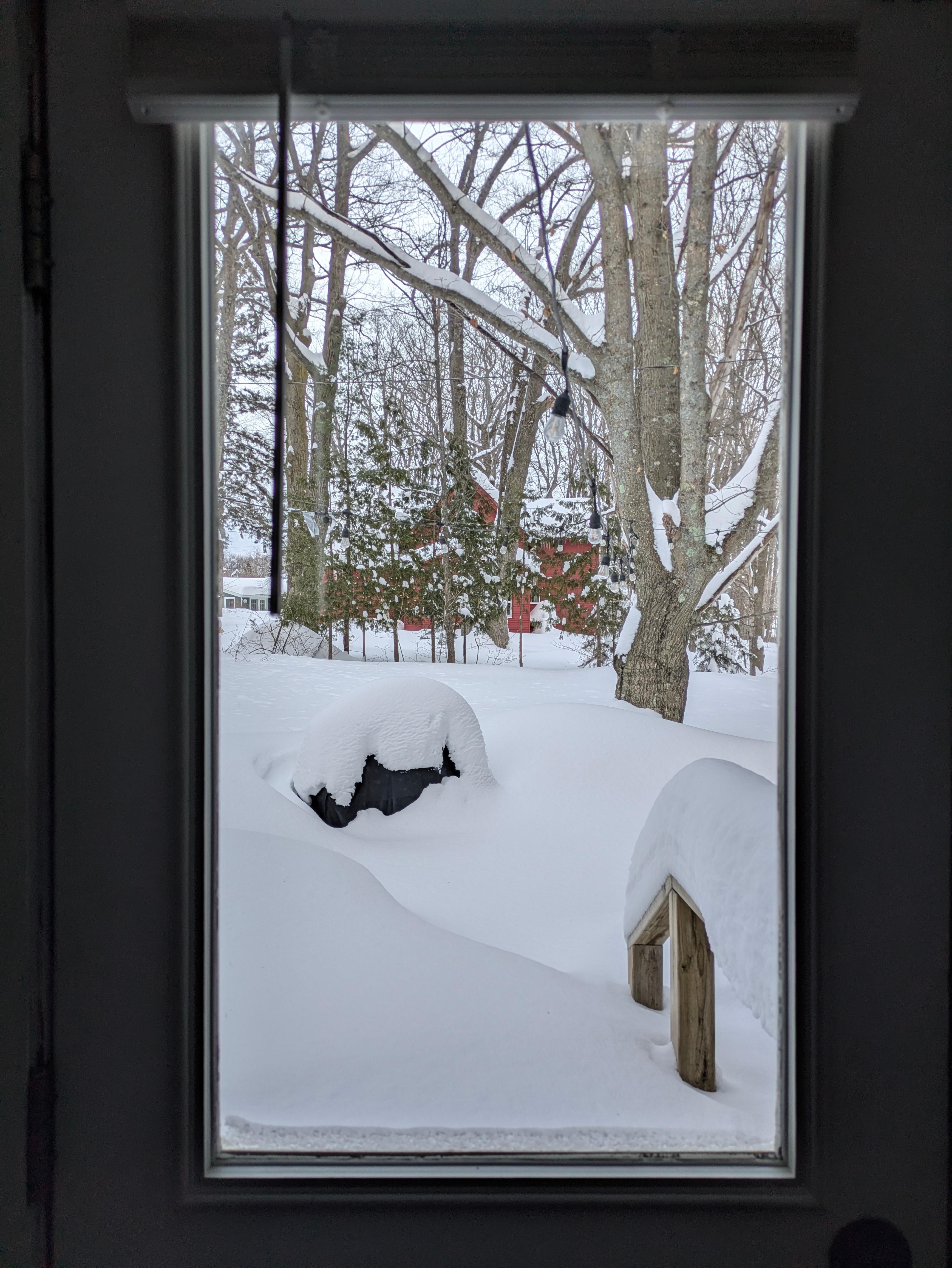 View out the kitchen window.