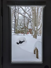 View out the kitchen window.