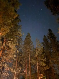 Night sky in backyard