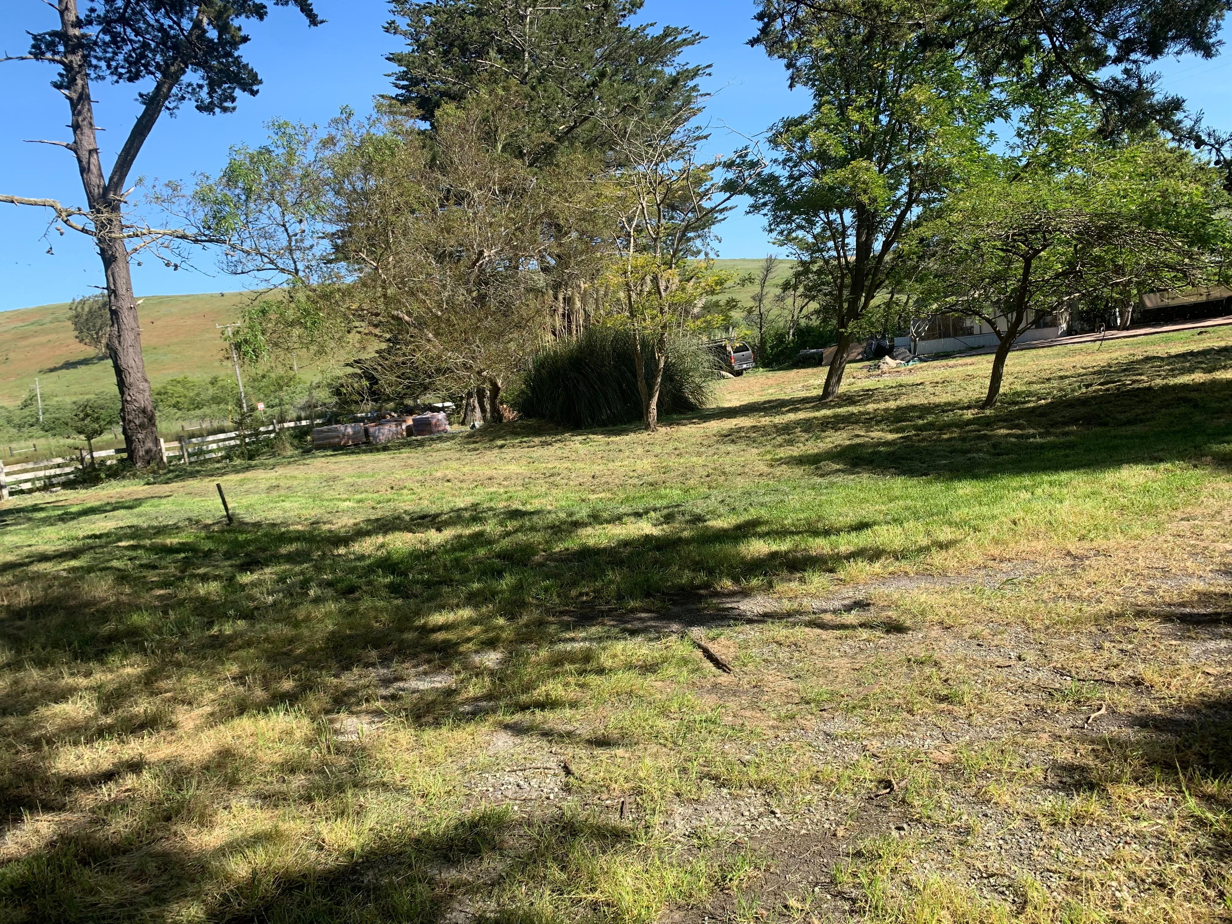 Excellent ground with plenty of space for human walks or pet runs. 