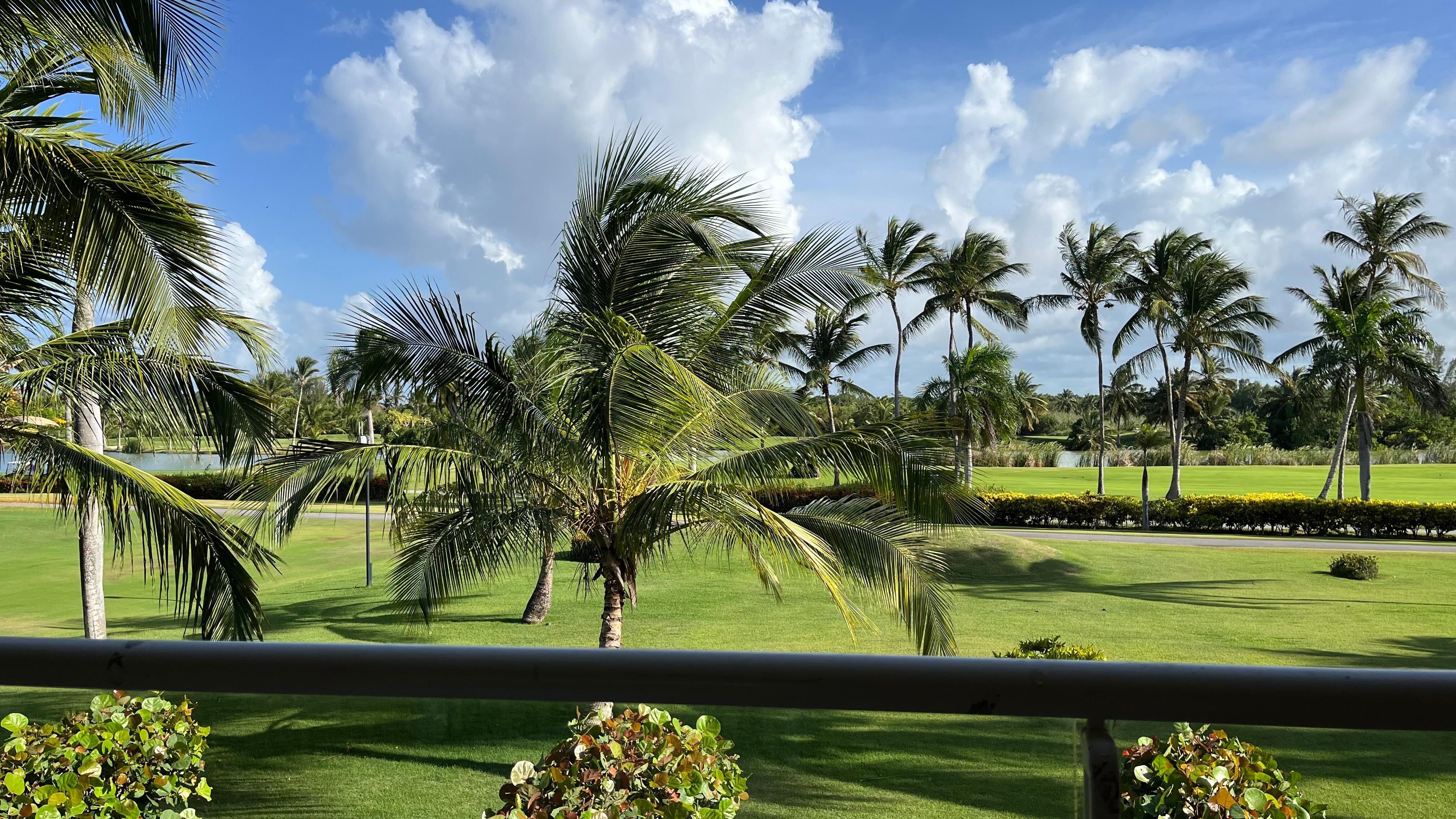 Golf course view