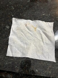 Attempts to scrub counters upon arrival