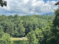 View from the deck.