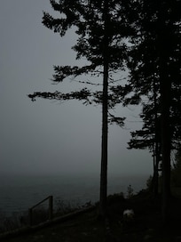 Foggy!