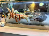 Fresh catch