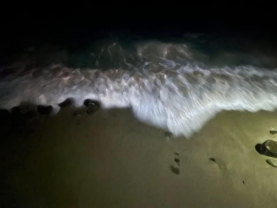 Changing tides right under our balcony! 