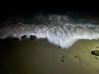 Changing tides right under our balcony!